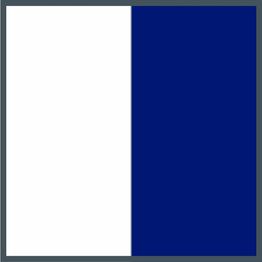 White-Navy